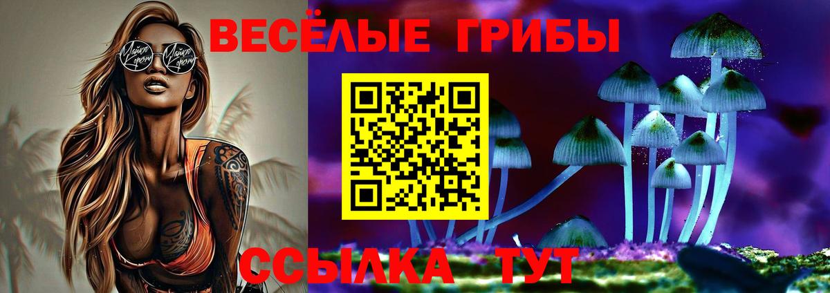 Псилоцибиновые грибы ЛСД  Вход с VPN  Новокубанск  Псилоцибиновые грибы GOLDEN TEACHER 