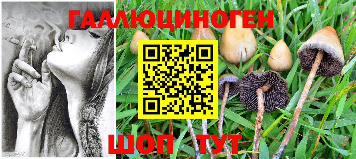 Галлюциногенные грибы мицелий Новокубанск